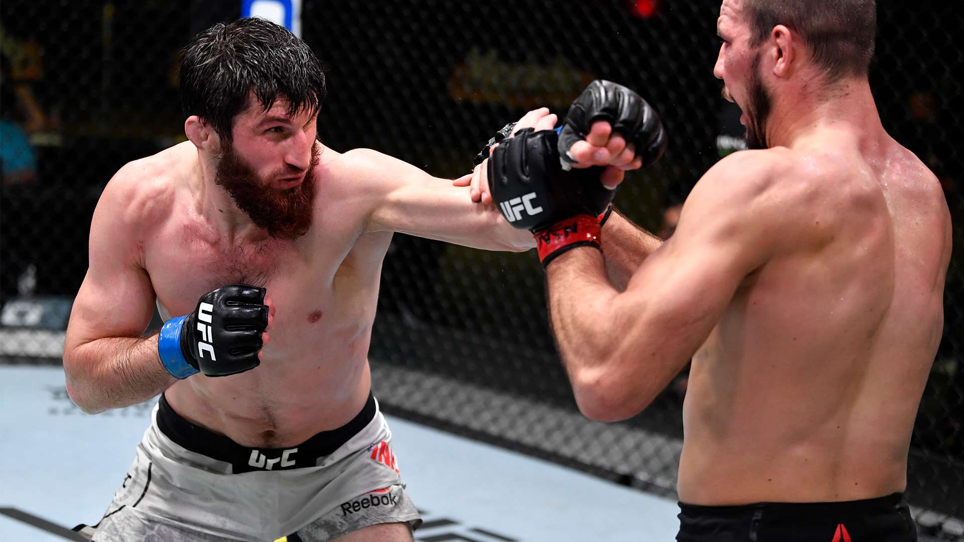 卓越的表现 卓越的表现